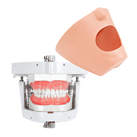 Принадлежности для фантомных голов, купить в GREEN DENT, акции и специальные цены. 