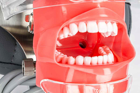 Jingle JG-C6-3 — Стоматологический фантом пациента мобильный